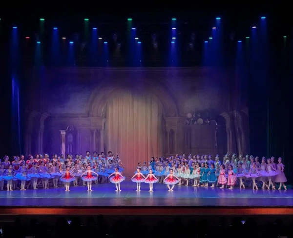Actuaci&oacute;n anual de teatro profesional