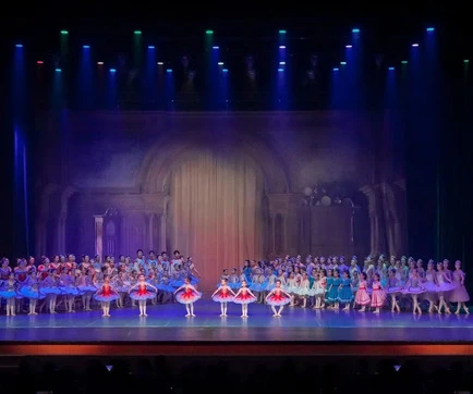 Actuaci&oacute;n Anual de Teatro Profesional