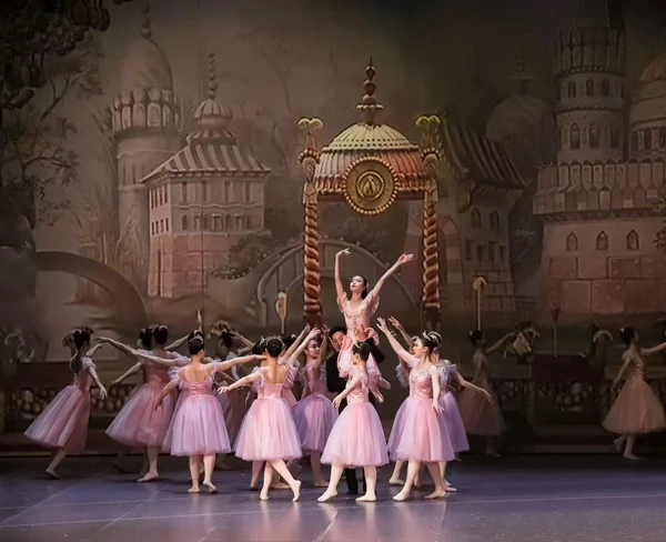 Colaboraci&oacute;n con una reconocida instituci&oacute;n de formaci&oacute;n de ballet japonesa