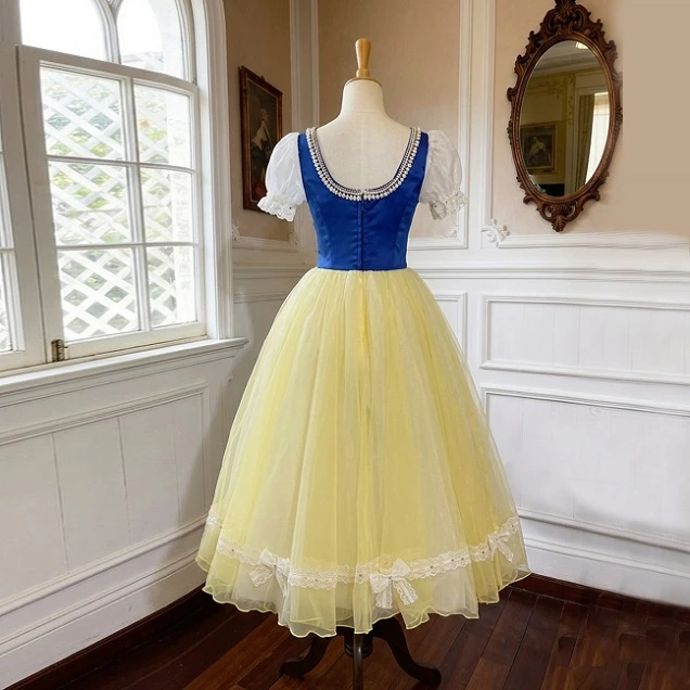 Vestido de actuaci&oacute;n de ballet de estilo popular con flores azules y amarillas | R1611