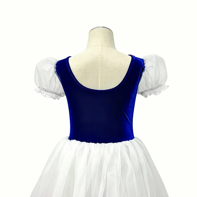 Girls Classical Stage Performance Velvet Ballet Dress | XGZ0253